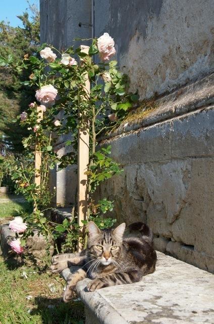 カディヤック Chateau Fauchey Bed & Breakfast エクステリア 写真